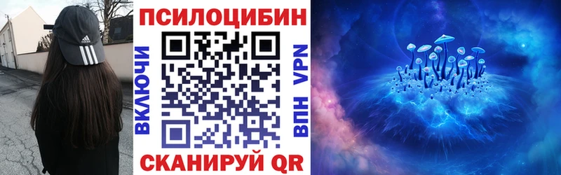 Галлюциногенные грибы GOLDEN TEACHER  наркотики  Новоржев 